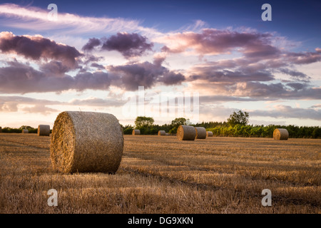 Eine August-Sonne geht über ein Feld von Strohballen in ländlichen Wiltshire. Stockfoto
