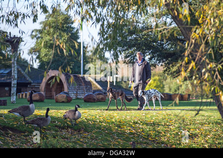 Peterborough, Cambridgeshire, Großbritannien. 17. Oktober 2013. Ein Mann geht seinen zwei Hunden durch Ferry Wiesen, Peterborough, in der Herbst-Sonne. Bildnachweis: Lovelylight/Alamy Live-Nachrichten Stockfoto