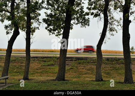 Eiche Bäume in ein Rastplatz mit vorbeifahrenden Fahrzeug auf der Autobahn Interstate 94 Oriska Rastplatz in der Nähe von Valley City North Dakota USA Stockfoto