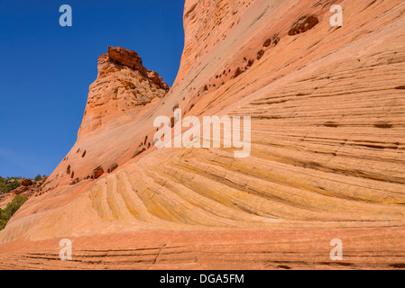 Felsformation, in der Nähe von Harris Wash, Grand Staircase Escalante National Monument, Utah, USA Stockfoto