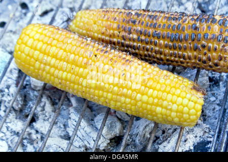 Mais, Barbecue auf Kohle Feuer rösten Stockfoto