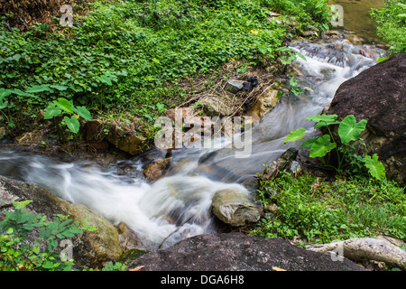 Katarakt in Hauykeaw Wasserfall, Doi Suthep-Pui Nationnal Park, Chaingmai Thaland Stockfoto