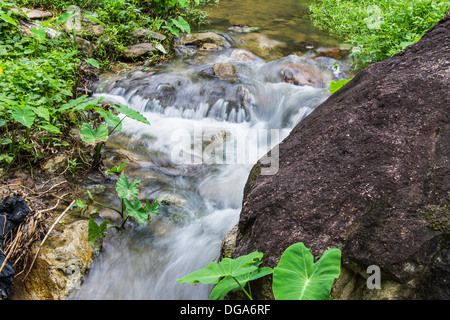 Katarakt in Hauykeaw Wasserfall, Doi Suthep-Pui Nationnal Park, Chaingmai Thaland Stockfoto