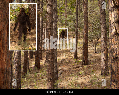 Bigfoot Sichtung Stockfoto
