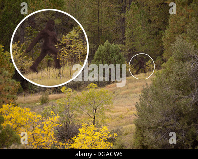 Bigfoot Sichtung Stockfoto