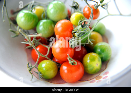 Nach Hause angebauten grüne und rote Kirschtomaten Reifung in eine Schüssel geben Stockfoto