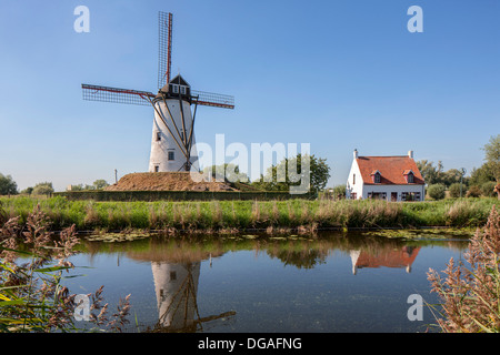 Schellemolen, traditionelle Windmühle entlang des Kanals Damme / Damse Vaart, West-Flandern, Belgien Stockfoto