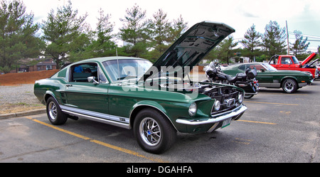 1967 Ford Mustang GT Fastback mit 289 V8 Hochleistungsmotor Long Island NY Stockfoto