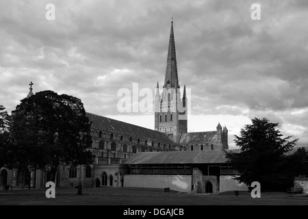 Schwarz / weiß Bild von Norwich Cathedral, Norwich City, Norfolk County, England, UK Stockfoto