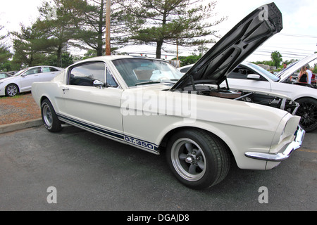 1967 Ford Mustang GT Fastback mit 289 V8 Hochleistungsmotor Long Island NY Stockfoto