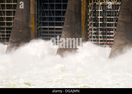 Wasser aus dem Columbia River Ansturm durch die Schleusen am Bonneville Dam, Oregon Stockfoto