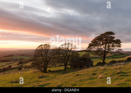 Scheune Ruine Ende Roach am Rande der Hinterwellen, Staffordshire Moorlandschaften. Aufgenommen im Oktober bei Sonnenuntergang Stockfoto