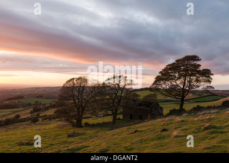 Scheune Ruine Ende Roach am Rande der Hinterwellen, Staffordshire Moorlandschaften. Aufgenommen im Oktober bei Sonnenuntergang Stockfoto