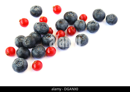 Haufen von roten Johannisbeeren, Blaubeeren, die isoliert auf weißem Hintergrund. Stockfoto