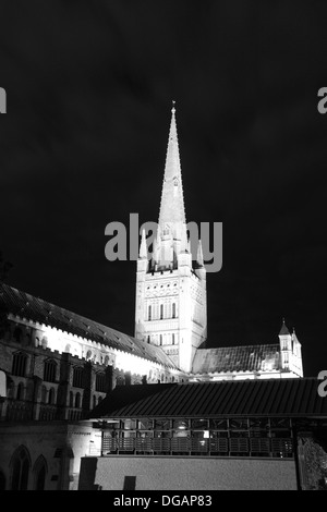 Schwarz / weiß Bild von Norwich Cathedral, Norwich City, Norfolk County, England, UK Stockfoto