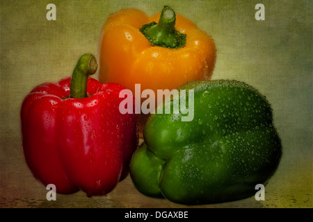 Still Life Fotografie vor kurzem gewaschen, frische rote, grüne und gelbe Paprika. Stockfoto