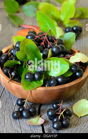 Schwarze Apfelbeere in braunen Schüssel auf Holztisch Stockfoto