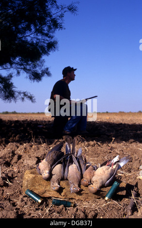 Ein Jäger sitzen im Schatten mit Trauer Tauben (Zenaida Macroura) während der Taube Jagd an Coleman Texas Stockfoto