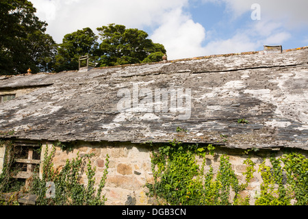 Eine verfallene Scheune Dach bei Godolphin house ein aus dem 17. Jahrhundert Landsitz in Cornwall, Großbritannien. Stockfoto