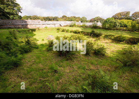 Eine alte Karpfenteich in das 16. Jahrhundert Gärten von Godolphin house einen Landsitz in Cornwall, Großbritannien. Stockfoto