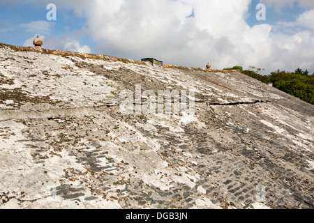 Eine verfallene Scheune Dach bei Godolphin house ein aus dem 17. Jahrhundert Landsitz in Cornwall, Großbritannien. Stockfoto