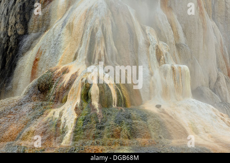 Travertin-Einlagen nächster Hügel Thermalquelle Mammoth Hot Springs Yellowstone NP Wyoming USA Stockfoto