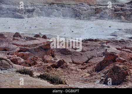 Die brodelnde Schlamm am Fountain Paint Pots Yellowstone NP Wyoming USA Stockfoto