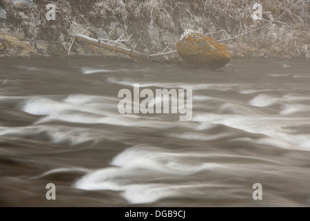 Morgen Frost um die Gibbon River in der Nähe von Beryl Frühling Yellowstone NP Wyoming USA Stockfoto