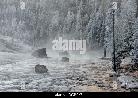 Morgen Frost um die Gibbon River in der Nähe von Beryl Frühling Yellowstone NP Wyoming USA Stockfoto