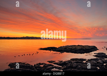 Sunrise-Farben auf Wolken über Trial Insel Victoria British Columbia Kanada Stockfoto