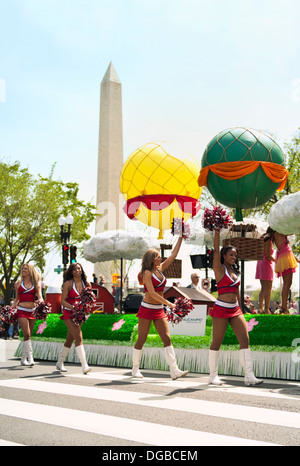 Cheerleader für die Washington Wizards in der National Cherry Blossom Festival Parade, Washington DC Stockfoto