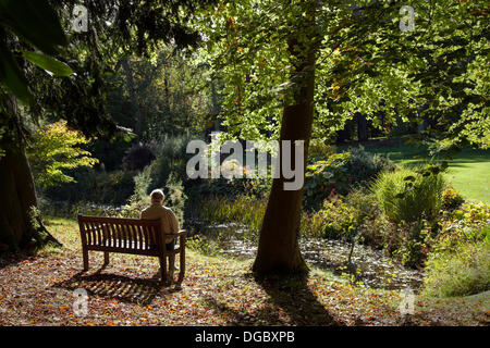 Bedale, Yorkshire, Großbritannien. 17. Oktober 2103.  Die Farben des Herbstes, wie in einem englischen Park zu sehen.   Mitglieder der Öffentlichkeit, sitzen unter Populus Baum, Ende Oktober Sonne zu genießen. Stockfoto