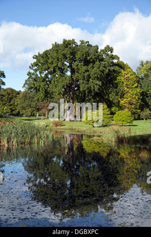 Bedale, Yorkshire, Großbritannien. 17. Oktober 2103.  Die Farben des Herbstes, wie in einem englischen Park zu sehen.   Mitglieder, die öffentliche, sitzend, genießen Ende Oktober Sonnenschein. Stockfoto