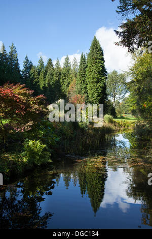 Bedale, Yorkshire, Großbritannien. 17. Oktober, 2103. Der garten landschaft Farben des Herbstes als in britischen Park gesehen. Stockfoto