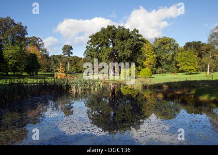 Bedale, Yorkshire, Großbritannien. 17. Oktober 2103.  Die Farben des Herbstes, wie in einem englischen Park zu sehen. Stockfoto