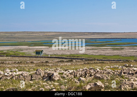 Vogelschutzgebiet auf der Insel Pag mit ansehen, wie Turm, Kroatien, Dalmatien Stockfoto