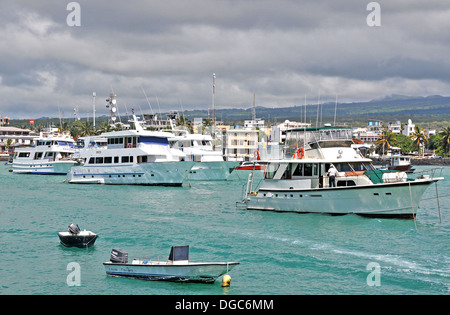 kleine Kreuzfahrtschiffe vor Anker im Hafen von Puerto Ayora Santa Cruz Insel, Galapagos Tslands, Ecuador Stockfoto