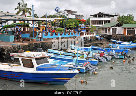 Angelboote/Fischerboote Puerto Ayora Santa Cruz Insel Galapagos Ecuador Stockfoto