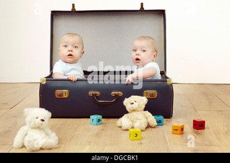 Zwei baby-jungen sitzen im Koffer, Porträt Stockfoto