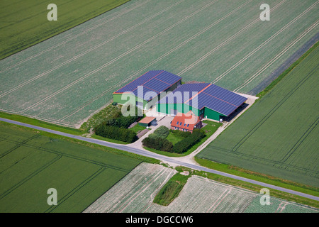 Luftaufnahme über Feld und Photovoltaik-Solarzellen am Dach von landwirtschaftlichen Gebäuden für alternative Energie zu liefern, der Bauernhof Stockfoto