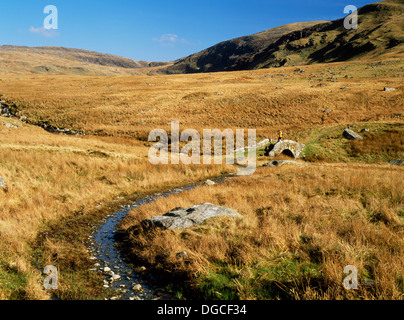 Ein Walker & seinen Hund anhalten um zu überprüfen, die Karte auf Pont Scethin, Ardudwy, Snowdonia, Wales, eine C18th Brücke von Viehtreiber und die von London nach Harlech Trainer verwendet. Stockfoto