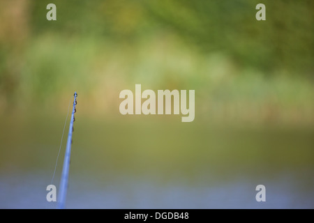 Die Spitze einer Angelrute wartet über die Oberfläche des Sees. Die gegenüberliegenden Ufer der See zum Angeln kann über das Wasser gesehen werden Stockfoto