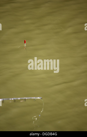 Gleitkommazahl Angeln sitzt auf der Oberfläche des Wassers. Eine Rute ist bereit, zuzuschlagen Stockfoto