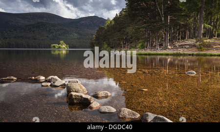 Loch ein Eilein in der Nähe von Aviemore in Strathspey & Badenoch, Schottland Stockfoto