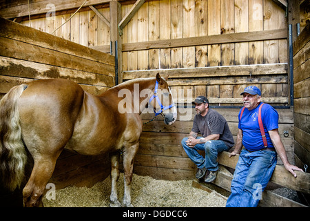 Deerfield, New Hampshire - 29.Sep 2013 - zwei Männer sitzen mit ihren Ziehen Pferd in seinem Stall am Deerfield Messe. Stockfoto
