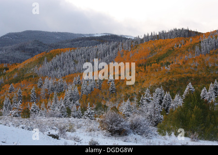 Winter trifft Herbst sich in den Rocky Mountains Stockfoto