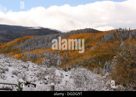 Herbst trifft Winter sich in den Rocky Mountains Stockfoto