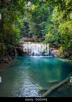 Wasserfall im Regenwald. Erawan Nationalpark in Thailand. Stockfoto