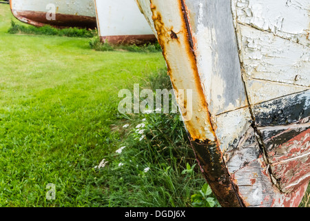 Alten rostigen Angeln Bootsrümpfe aufgereiht auf dem Rasen in einem Zustand des Verfalls, verschlechtert sich auf Prince Edward Island. Stockfoto