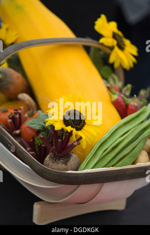 Gelber Kürbis mit rote Beete Stangenbohnen und Sonnenblumen in einem hölzernen Korb für Erntedankfest Stockfoto